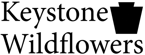 Keystone Wildflowers logo 2x